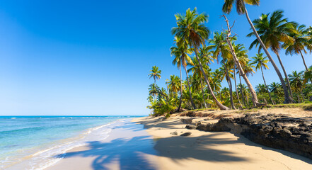Summer sandy beach with palm trees and blue sea waves against a bright sky. Shadows from palm trees on the white sand of a tropical coast on a sunny morning.