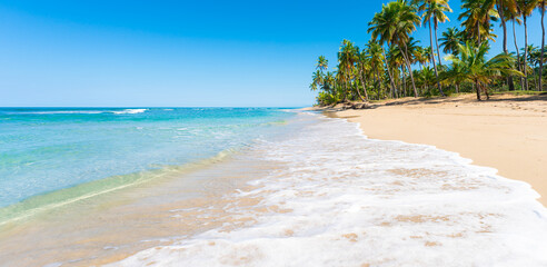 White foam of a transparent sea wave on the Maldives beach. Sandy palm beach on a sunny day. Journey along the tropical sea coast. Sea background.