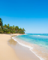 Sunny day on a palm sandy beach. Turquoise sea waves on white sand. Boat trip on a tropical peninsula. Bright blue sky over paradise wildlife.