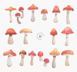 Watercolor fly agaric mushrooms set. Hand drawn summer botanical illustration for posters, greeting cards, stickers and other.