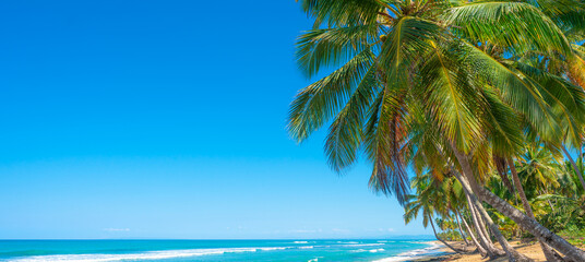 Palm Cuban beach in summer sunny weather. Bright blue sky over beautiful turquoise ocean waves. Beautiful green palm trees on the white sand of the wild beach of the sea coast.