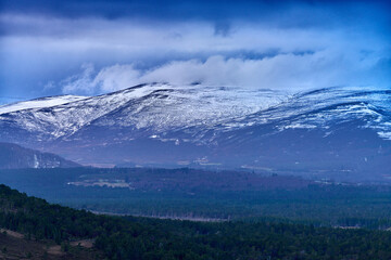 snow covered mountains