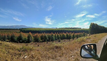 South Africa - Landscape
