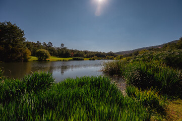 Golf course landscape with short green grass, some hills, water traps and trees.