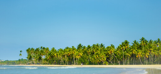 Palm beach of Central America with white sand. Green palm trees against the blue bright sky. Blue waves of the ocean near the tropical coast. Marine outdoor recreation.