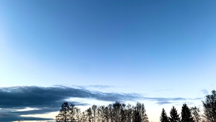 Early sunset in cold weather, winter blue sky with lifeless trees and dry branches