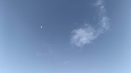 Early sunset in cold weather, winter blue sky with lifeless trees and dry branches
