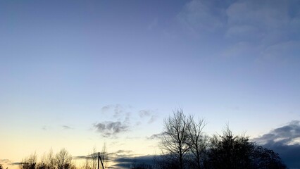 Early sunset in cold weather, winter blue sky with lifeless trees and dry branches