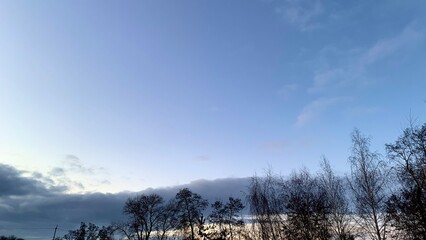 Early sunset in cold weather, winter blue sky with lifeless trees and dry branches