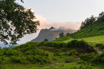 green landscape with mountains and trees under a cloudy sky in the basque country, spain.