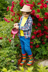 Child with a watering can. Boy takes care of garden plants. Spring work in the garden. Kid helps parents