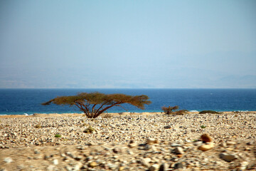 red sea and sky