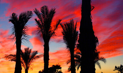 sunset in the desert