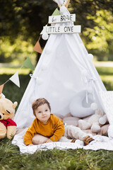 Adorable caucasian toddler sitting inside teepee tent with colorful toys and soft pillows around. Summer time ammg green nature. © sofiko14