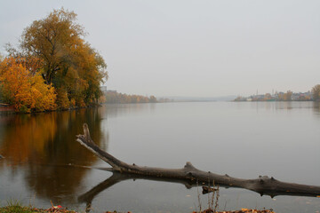 autumn trees on the lake