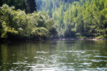 lake in the forest