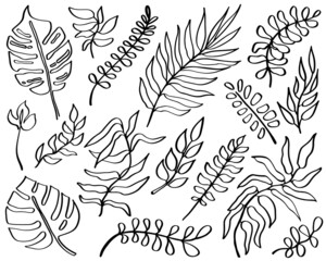 One line drawing leaves set in doodle style. Line art hand drawn black plants. Modern exotic summer botanical illustrations. Monstera, palm, banana tropical leaf. Vector