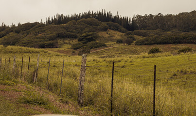 Obraz premium Panoramic nature landscape from Iao valley in wahiee forest on Maui island, Hawai.