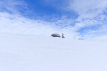 Winter mountain landscape with blue sky and snowy trees. Silesian Beskids, Poland.