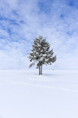 Fototapeta na wymiar Winter mountain landscape with blue sky and snowy trees. Silesian Beskids, Poland.