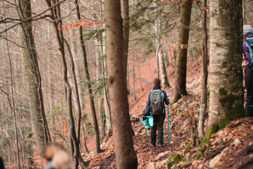 Obraz premium Carefree young trekkers in the winter vacation hiking uphill on a picturesque mountain. Tourist couple exploring the stunning Carpathians for fun recreation