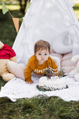 Caucasian one year old child playing in toy teepee tent near birthday cake decorated with animal...