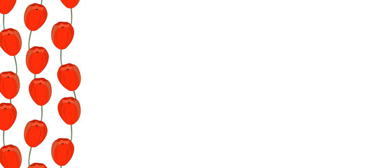 Spring illustration with red tulips. Happy birthday, holiday, celebration greeting and invitation card. Colorful floral banner with flowers. Modern floral compositions with summer branches