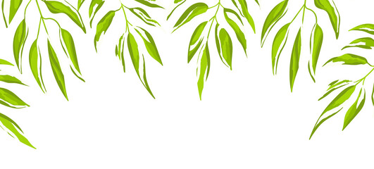 Floral web banner with drawn color exotic leaves. Nature concept design. Modern floral compositions with summer branches. Vector illustration on the theme of ecology, natura, environment