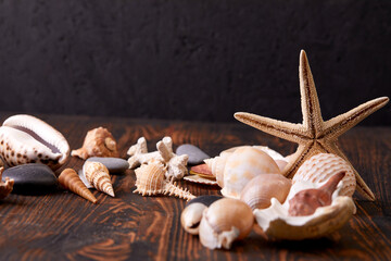 Star fish and sea shells