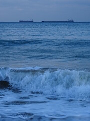 Beautiful swans birds during sunset  in Black sea at Varna - BG