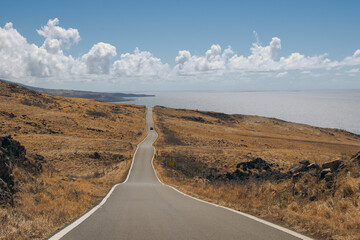 Long desert road with the end on the beach in Kaupo, Maui, Hawai.