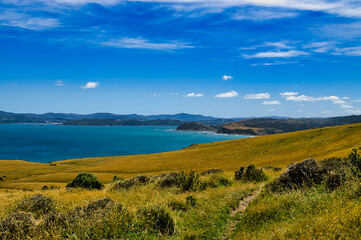 Fototapeta na wymiar View from the sheep pastures of Baring Head over Cook Strait to the outskirts of Wellington and the hills beyond the city, North Island, New Zealand 