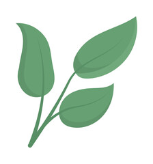 branch with leaves icon