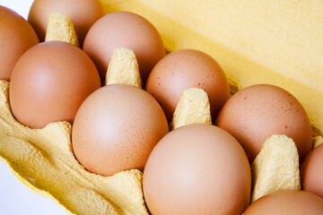 Chicken eggs in open carton. Hen eating