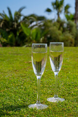 Celebration of championship with glasses of champagne bubbles wine on green lawn of golf club