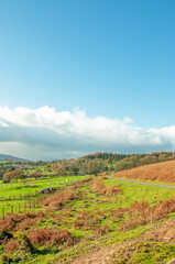 Fototapeta na wymiar Autumn landscape in the Welsh hills.