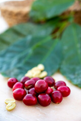 Red ripe arabica coffee berries, green coffee beands and leaves