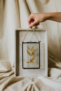Framed Pressed Leaves Mockup