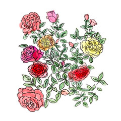 rose bush for printing on dishes