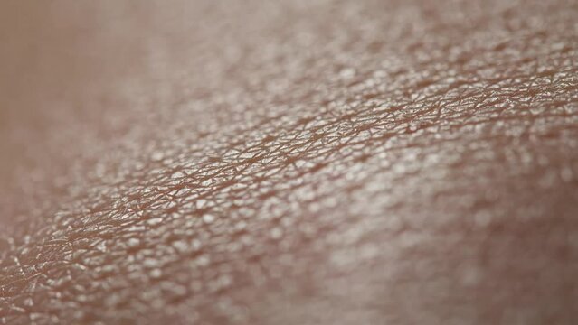 Hand skin texture close-up. Arm surface macro shooting. Body and healthcare, hygiene and medicine concept.