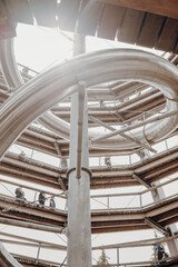 Obraz premium Wildline