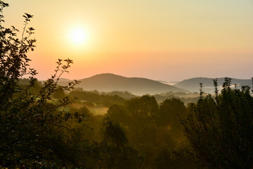 Fototapeta na wymiar Green landscape at sunrise in the morning mist