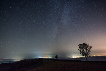 Naklejka na ściany i meble starry night sky whit trees and Milky Way, Turiec, Slovakia, Europe