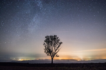 Naklejka na ściany i meble starry night sky whit tree and Milky Way, Turiec, Slovakia, Europe