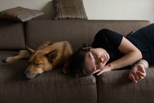 portrait of a girl and a dog
