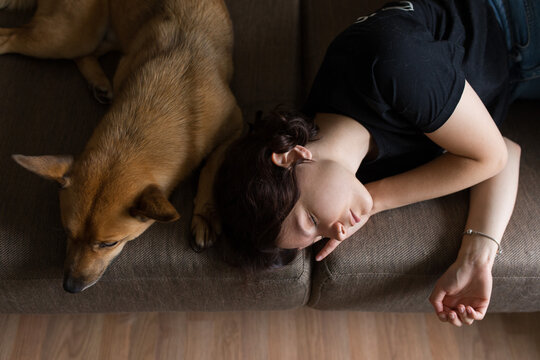 top photo of a girl and a dog
