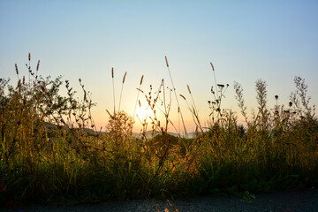 Nature awakens - sunrise in the nature