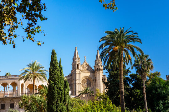 View of the Cathedral of Palma de Mallorca
