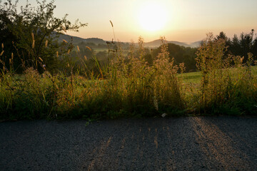 A road and grass at sunrise with landscape