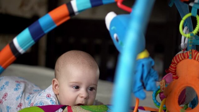 Newborn Active Baby Cute Smiling Teethless Face Portrait Early Days On Stomach Developing Neck Control. 5 Months Child In Playpen Gnaws Toys Look At Camera. Infant, Childbirth, Beginning Concept